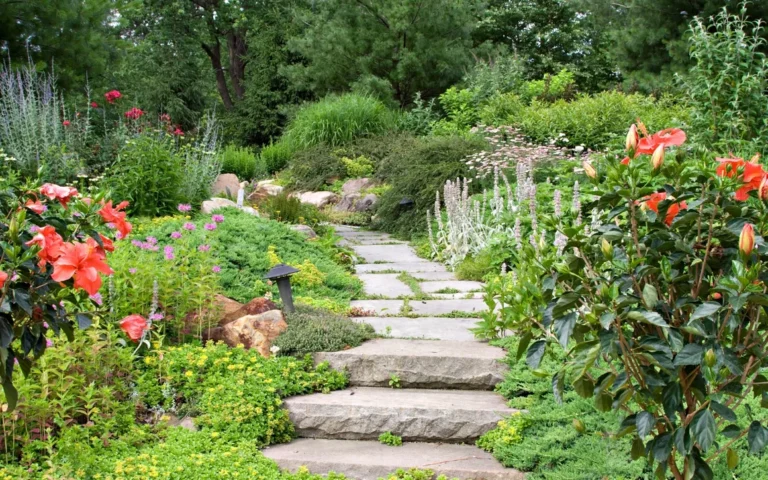 GardenPathMedicinals 768x480